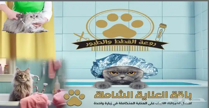 - عناية وترويش قطط وحلاقة بعرض خاص 0