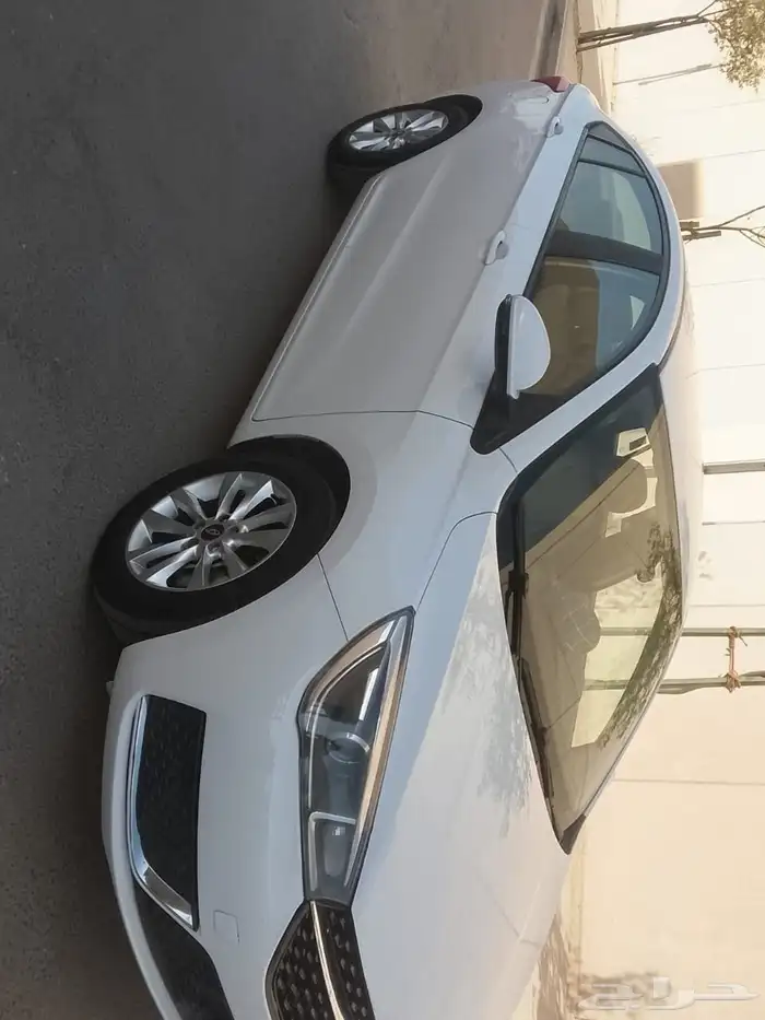 شيري اريزو 5 2024 1