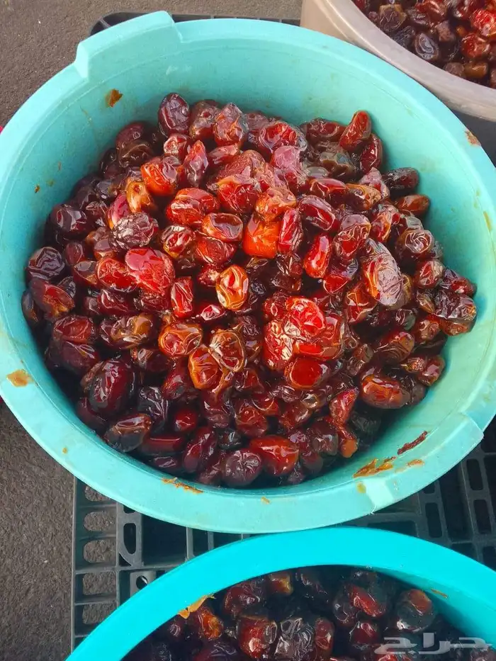 تمور حائل الفاخره 5