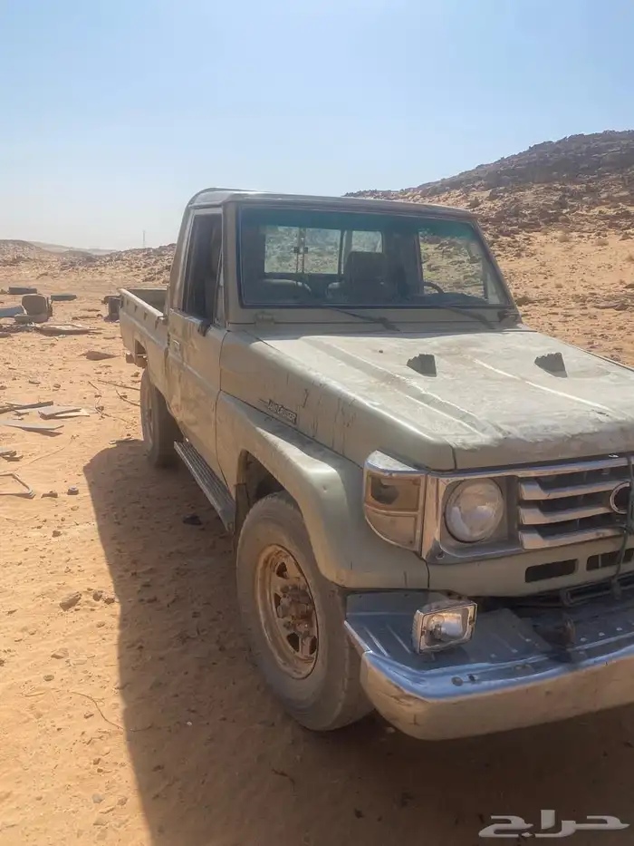 شاص موديل 91 بدون اوراق 3
