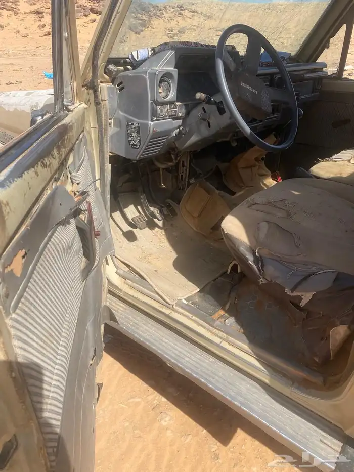 شاص موديل 91 بدون اوراق 1