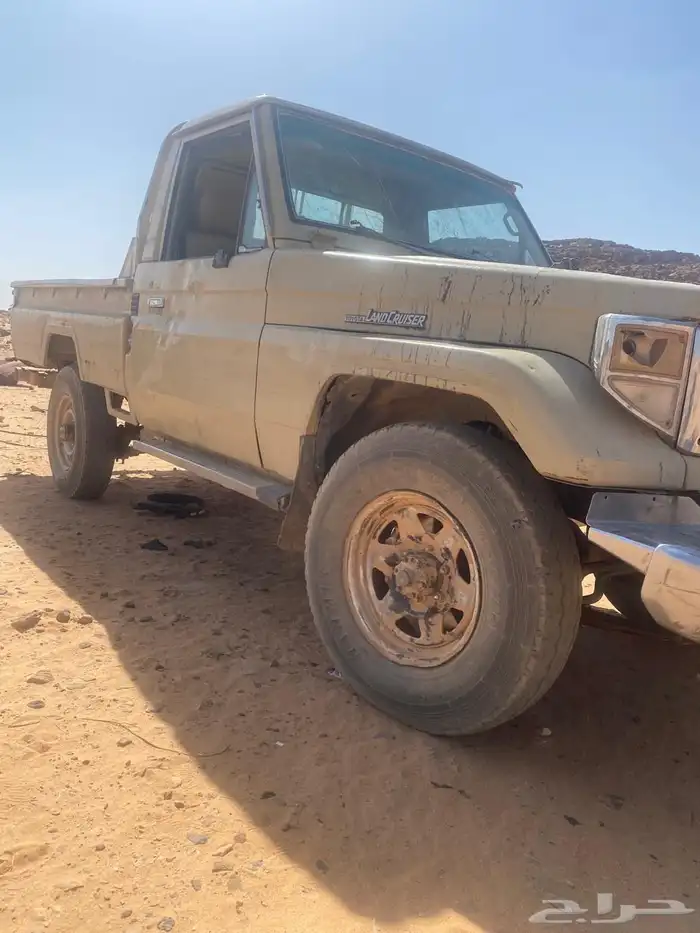 شاص موديل 91 بدون اوراق 2