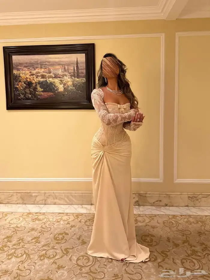 فساتين سهرة فساتين ساتره فساتين حديثه بأسعار منافسة 45