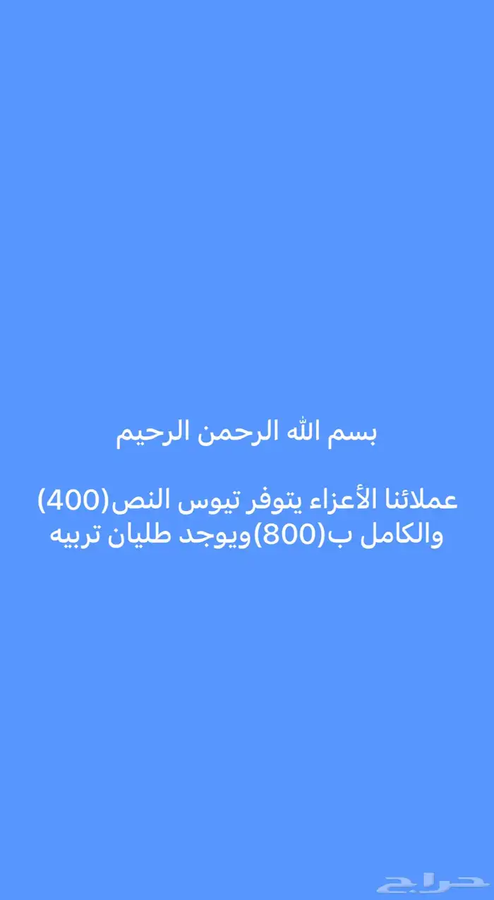 طليان وتيوس 1