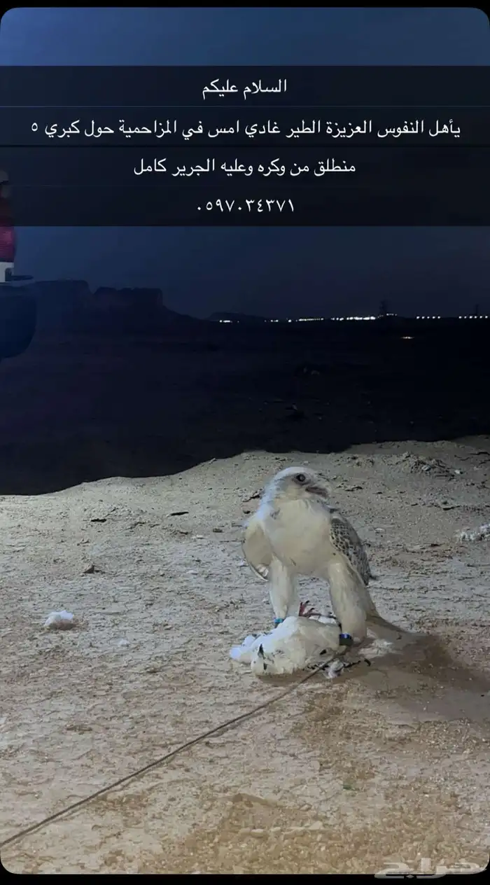 طير غادي مكافة 5000 0