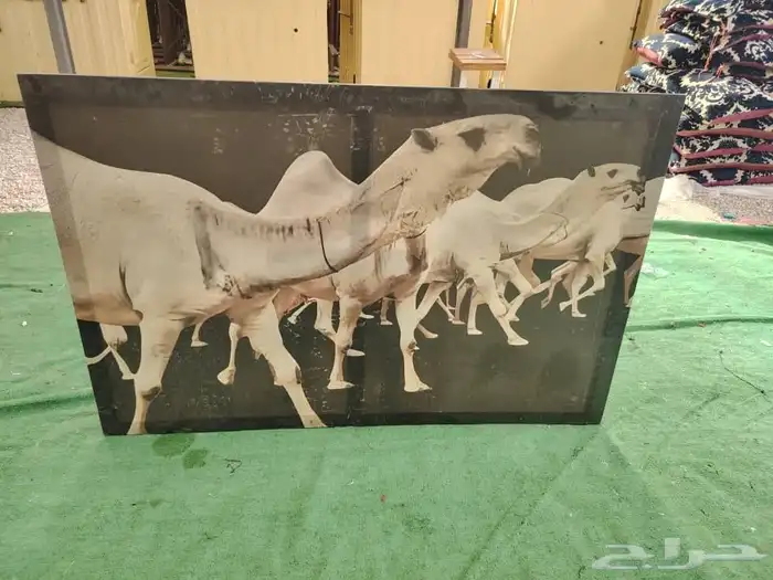 لوحات جدارية 7