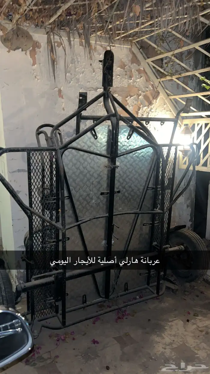 عربانة هارلي للأيجار اليومي 0