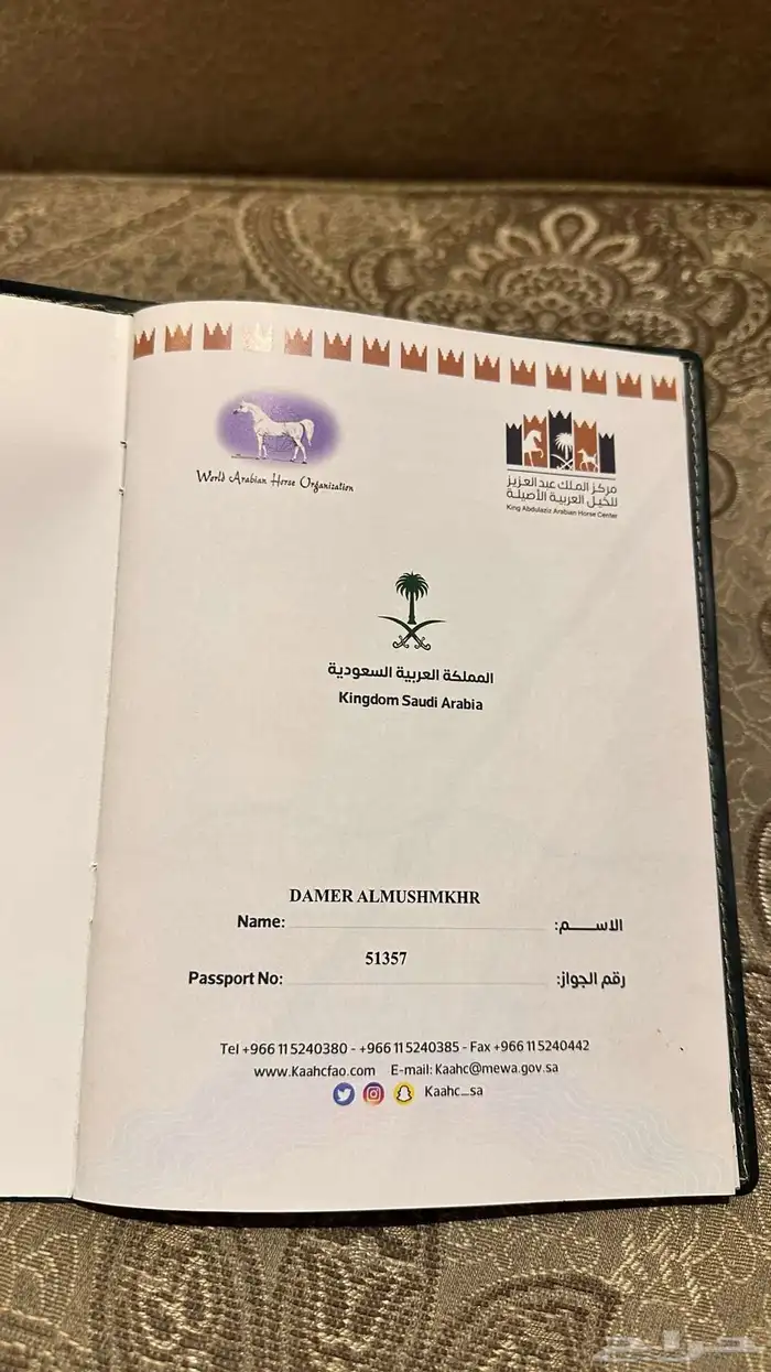حصان واهو شييخخ جاهز للشتويه 8