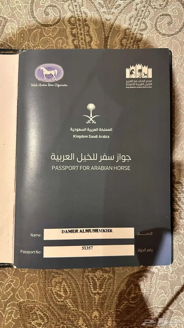 حصان واهو شييخخ جاهز للشتويه 9