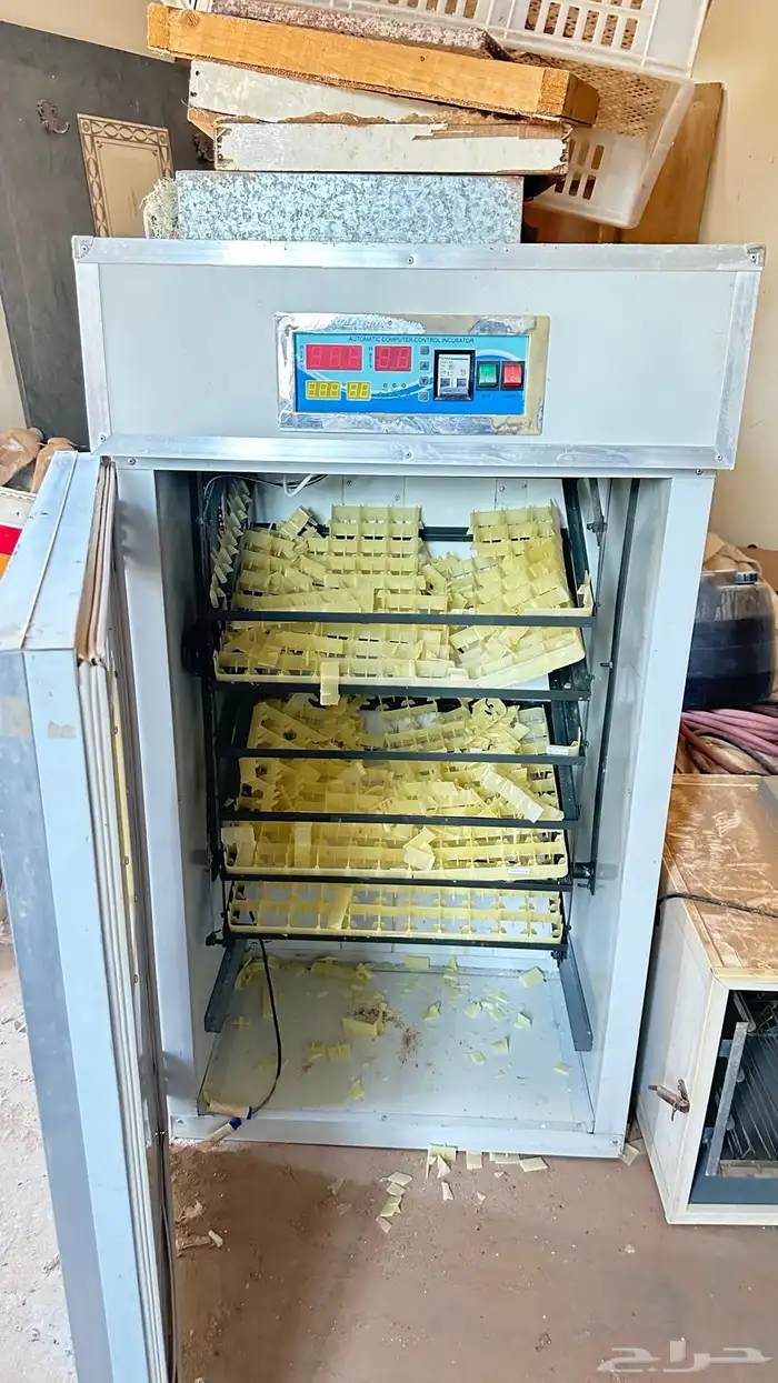 فقاستين للبيع 3