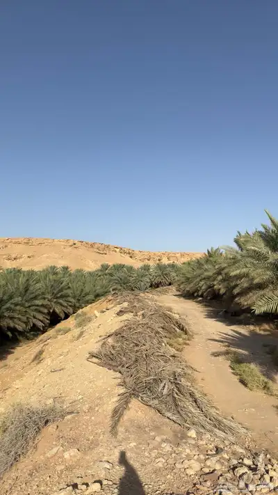 للبيع مزرعة في محافظة الغاط index