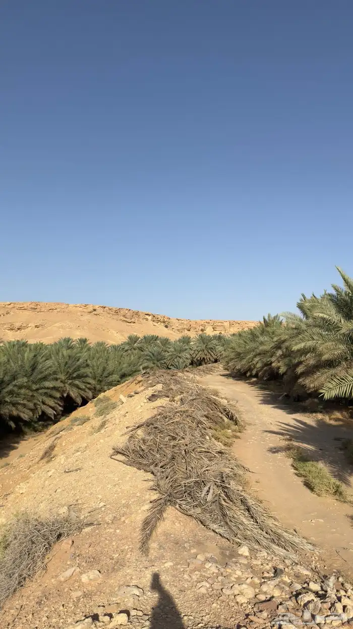 للبيع مزرعة في محافظة الغاط 3