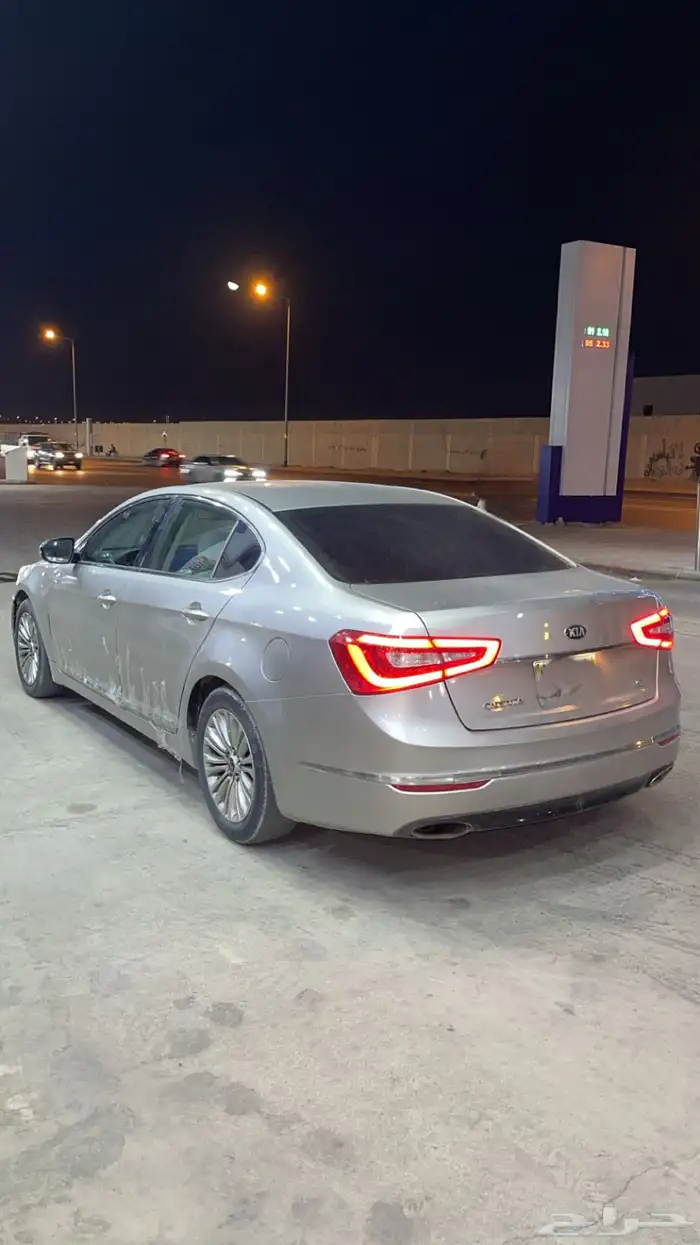 كادينزا 2015 5