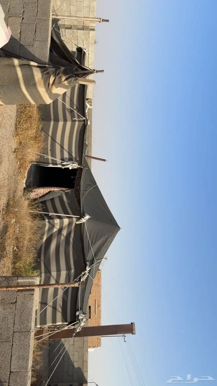 بيت شعر 8 5 1