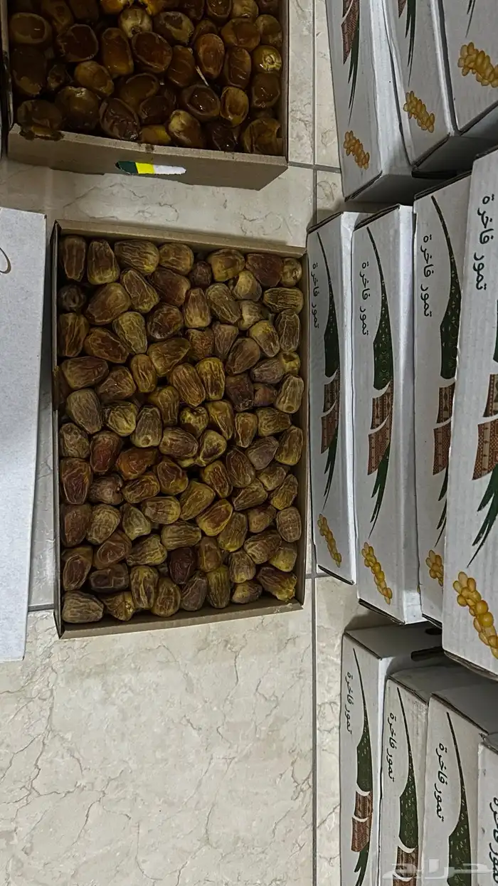 ثلاثة كيلو تمر يوجد إلدينا جملة 1