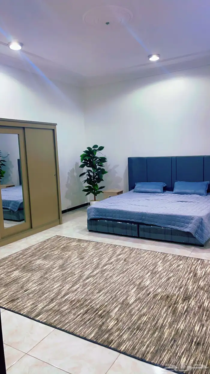 شقه مفروشة ابها المحالة 6