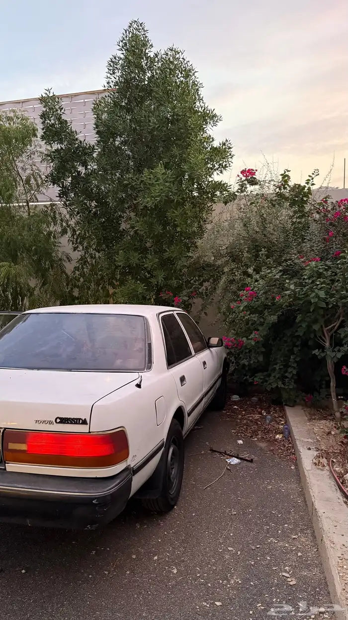 كرسيدا للبيع 6
