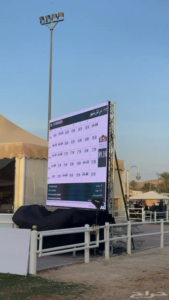 حصان متاح لتشبية 1