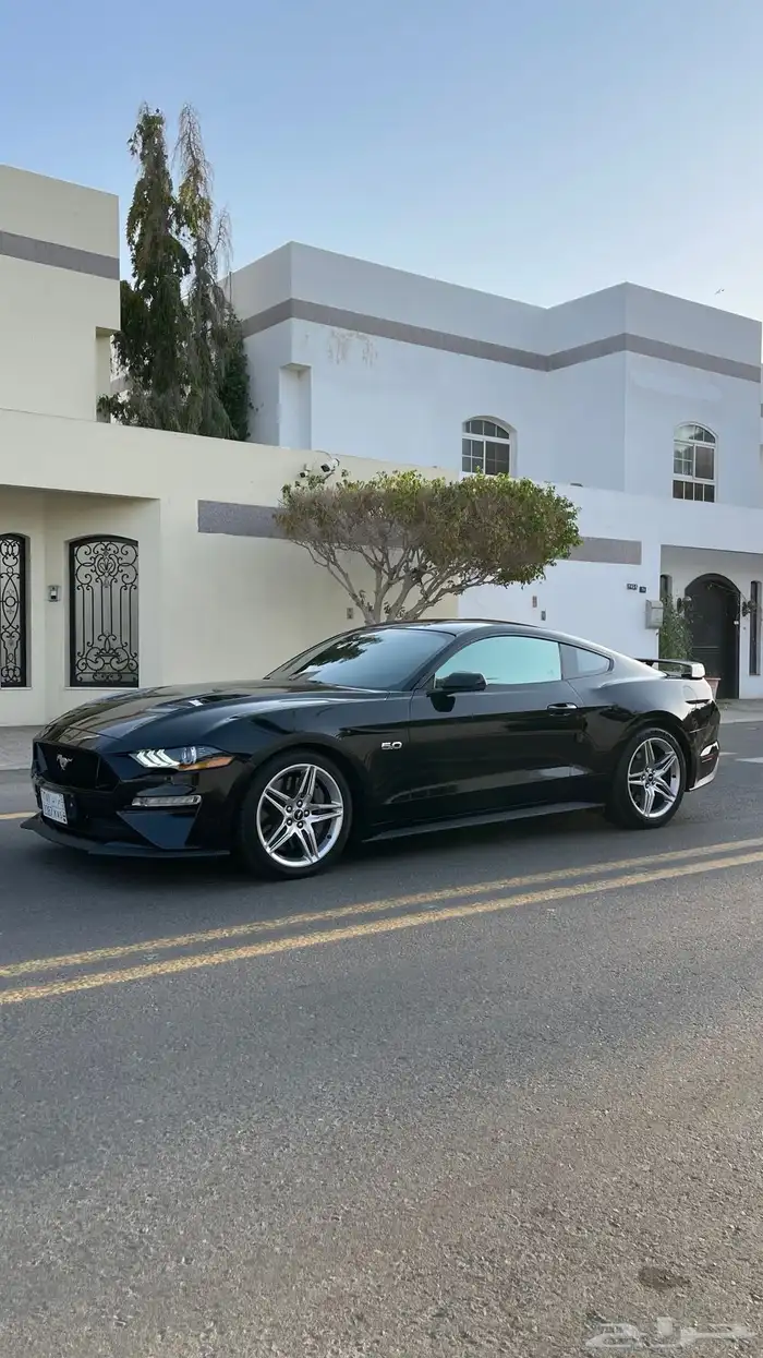 فورد موستنج GT 5.0 بيرفورمنس بكج 2020 4