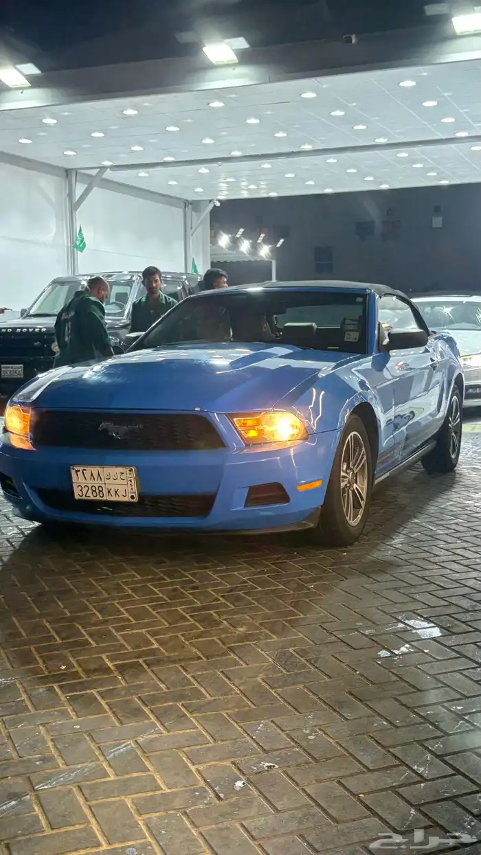 موستنج 2010 كشف 2