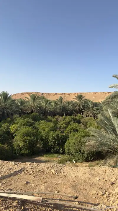 للبيع مزرعة في محافظة الغاط index