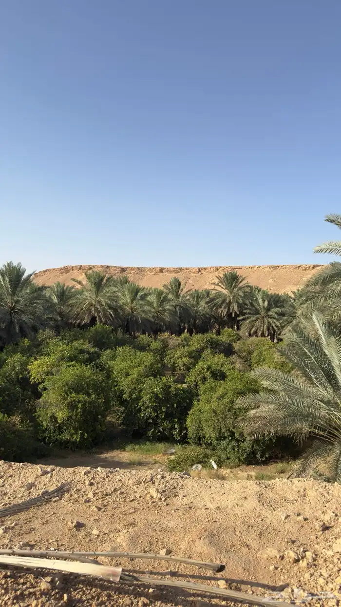 للبيع مزرعة في محافظة الغاط 2