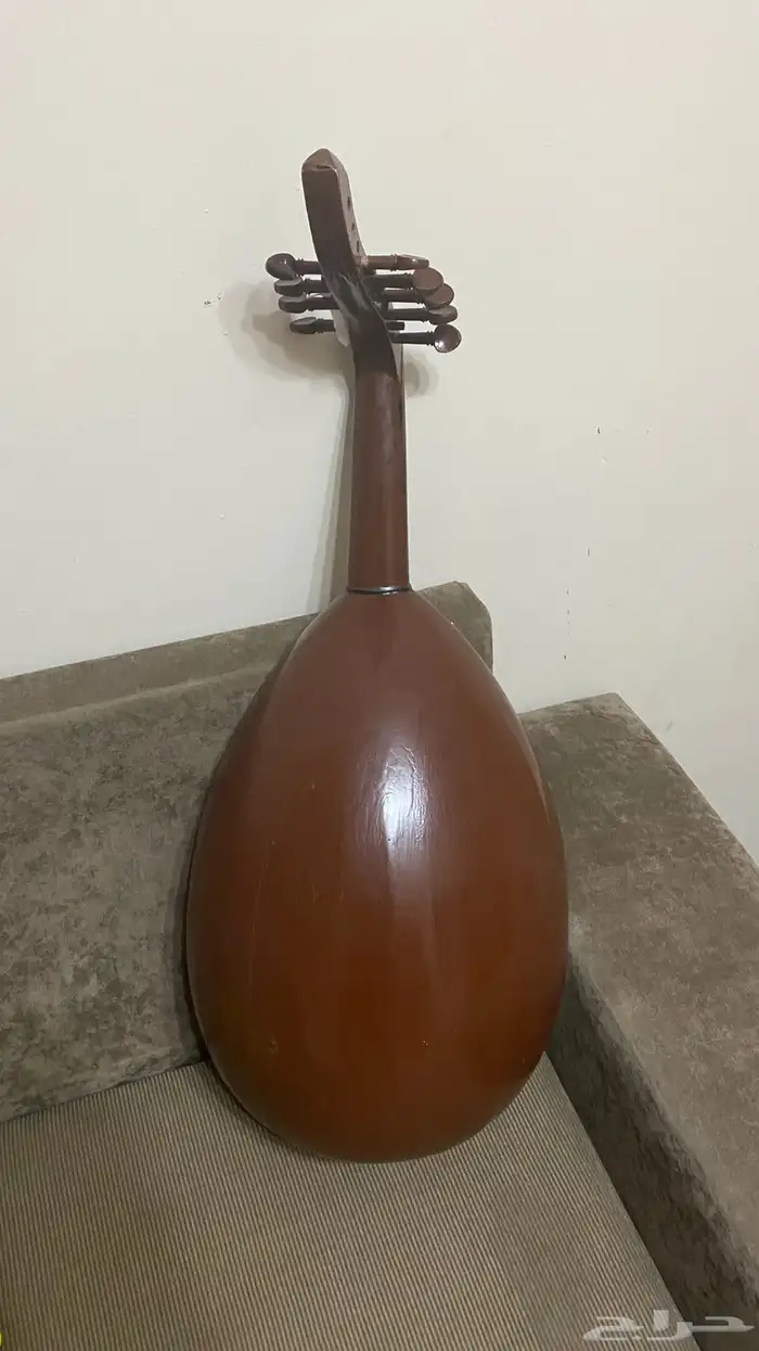 عود بحريني للبيع 2
