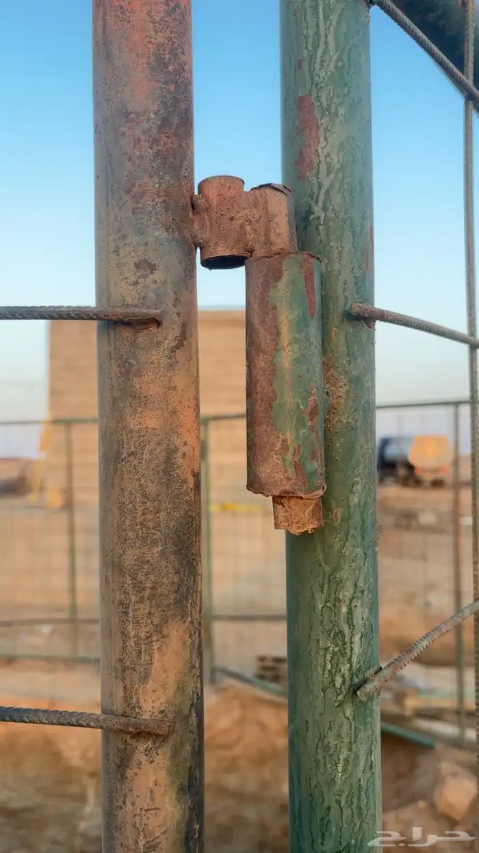 شبوك ابل 0