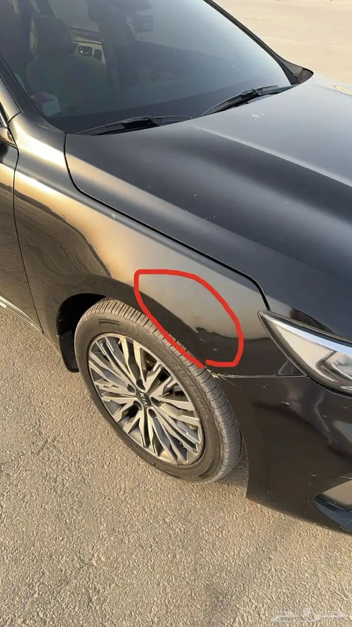 كادينزا 2021 (الجبر) 3.5 V6 21