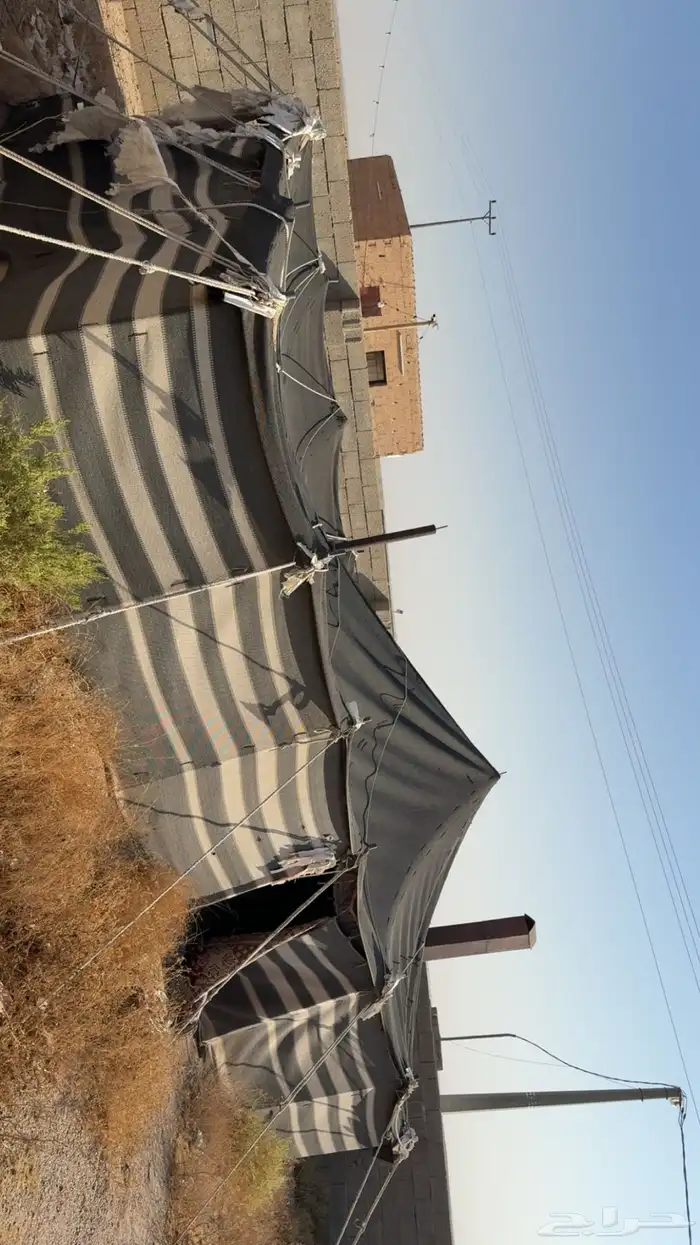 بيت شعر 8 5 2