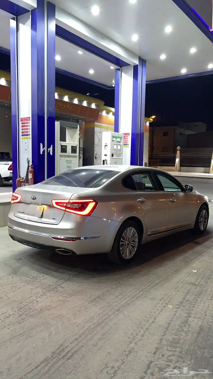 كادينزا 2015 3