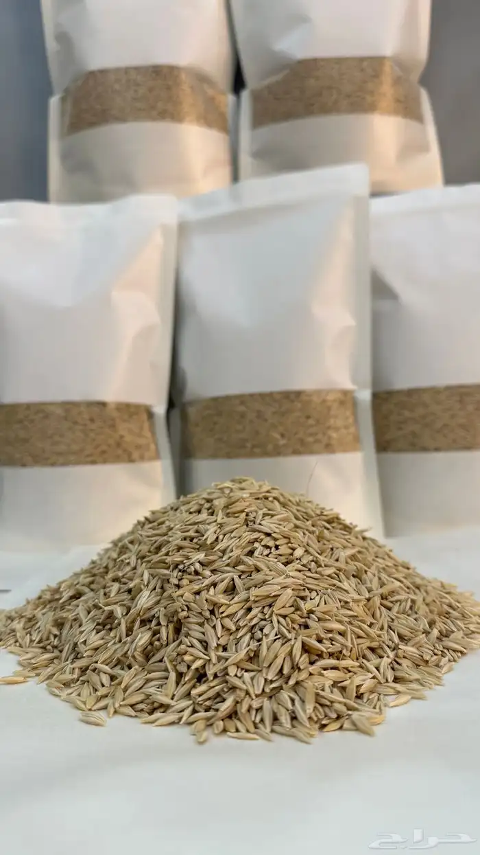 شعير بلدي عضوي 0