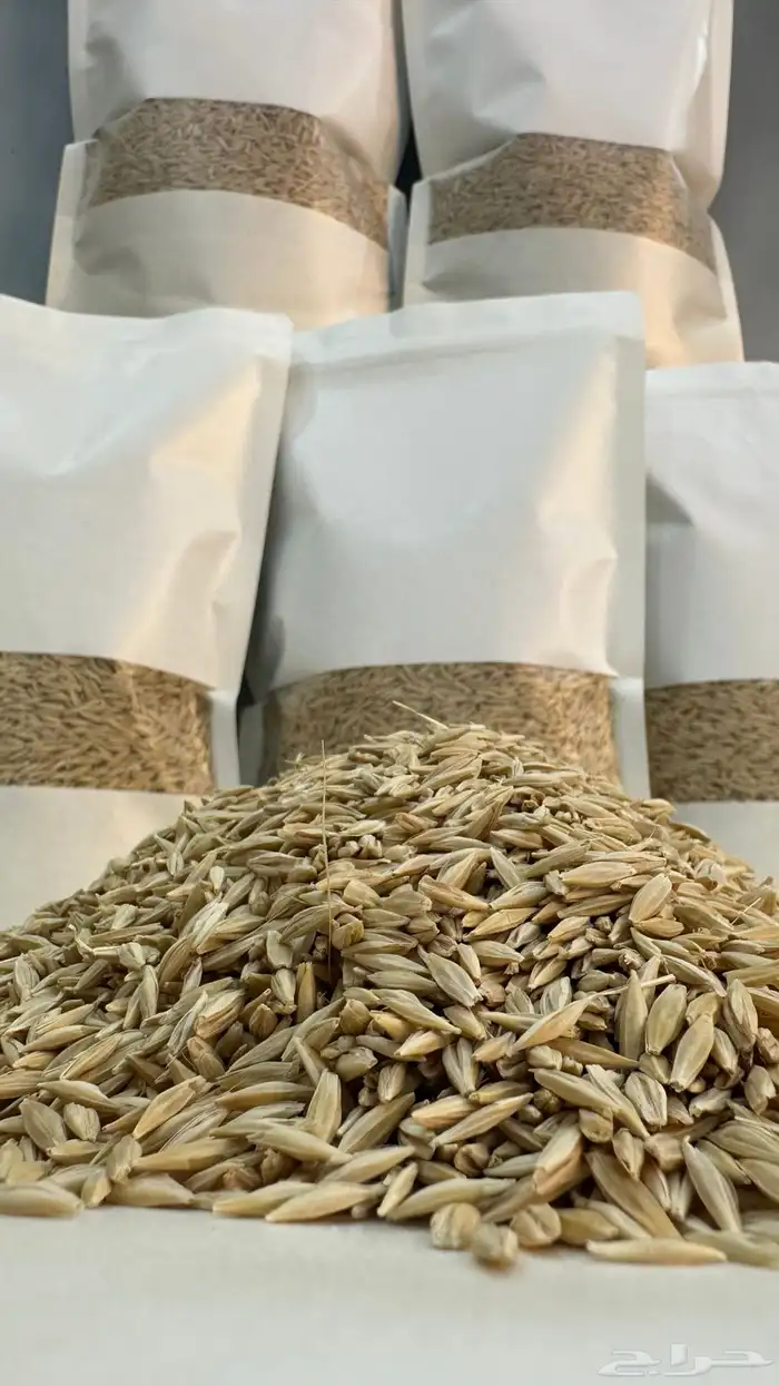 شعير بلدي عضوي 1