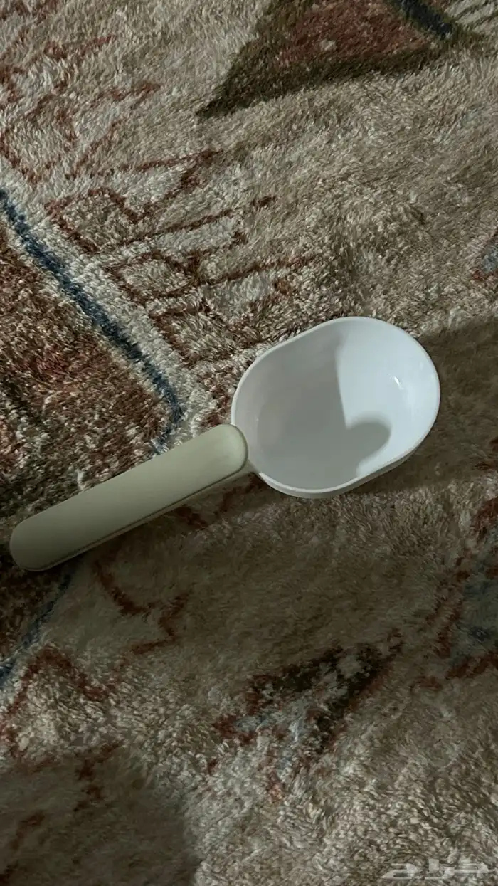 قط للبيع 3