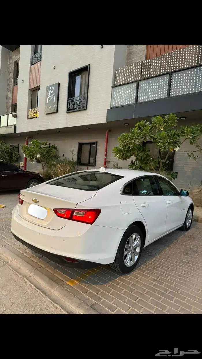 مليبو 2019 0