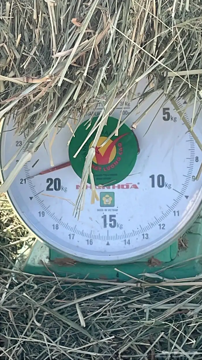 اعلاف بلوبنك شد ووزن 0