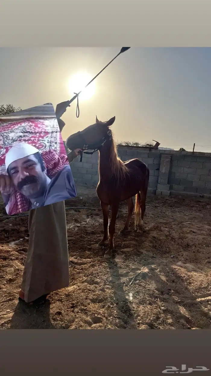 مهر واهو 0