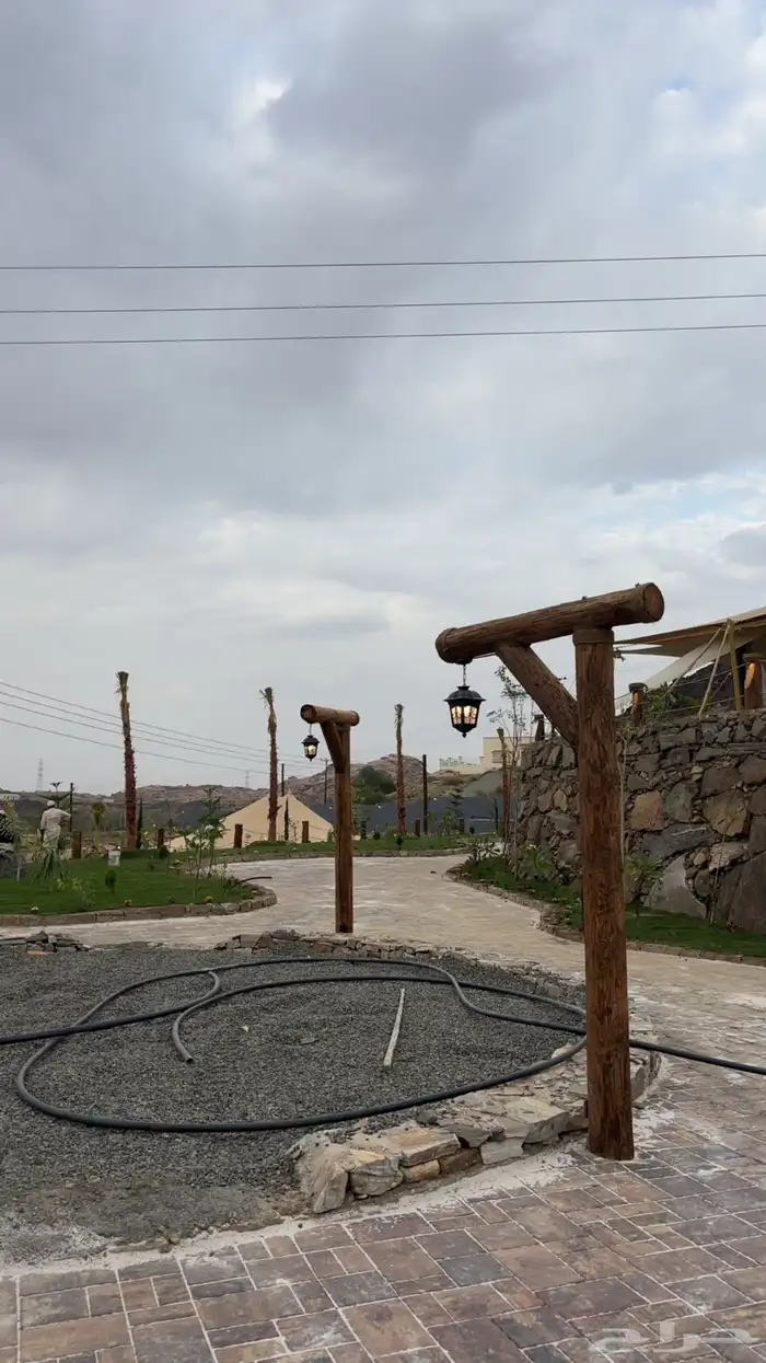 طولات في اي بي 12