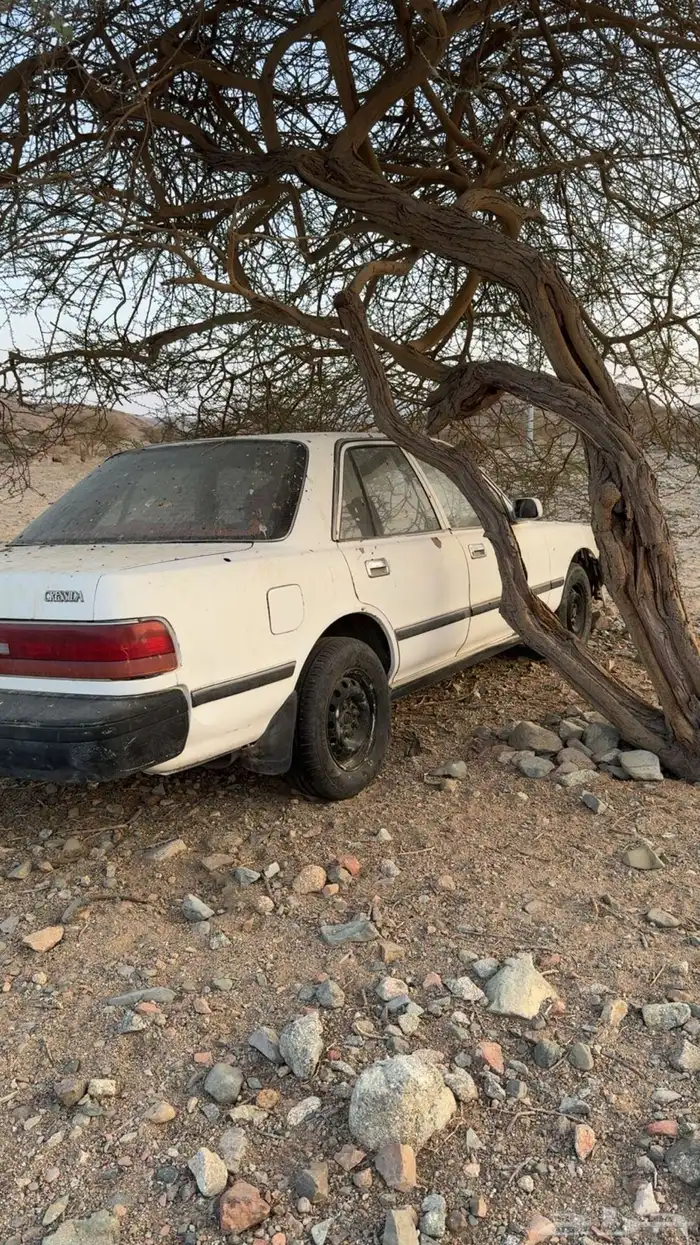 كرسيدا 92 للبيع 2