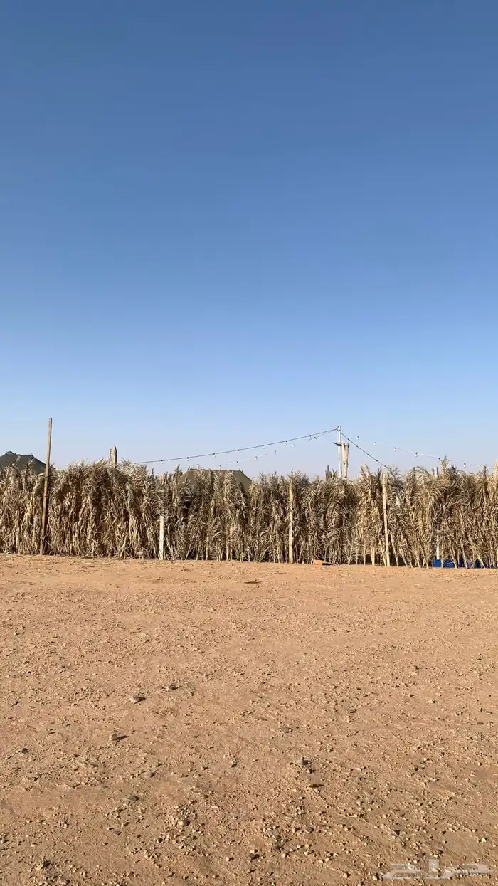 مخيم متكامل للبيع 5