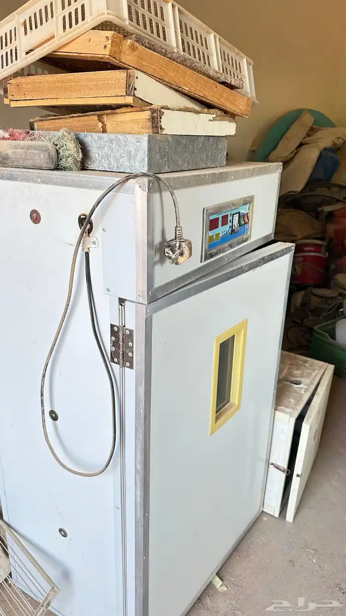 فقاستين للبيع 0