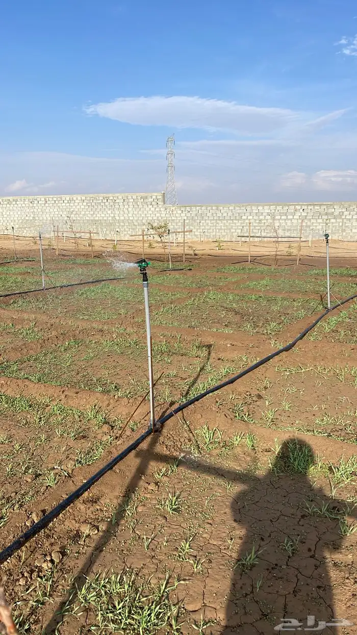 استراحة بضيافة خاصه ومزرعة في الحمرة ظهران الجنوب 56