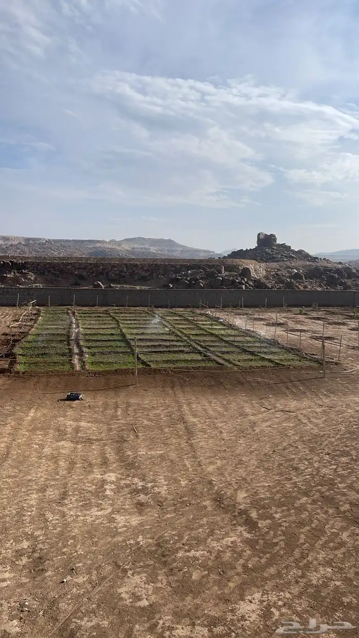 استراحة بضيافة خاصه ومزرعة في الحمرة ظهران الجنوب 58