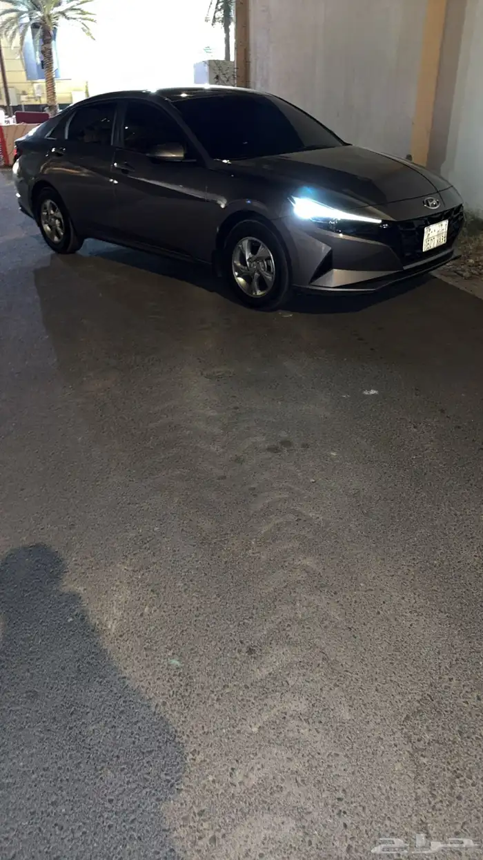 شمعات الانترا 2022 2