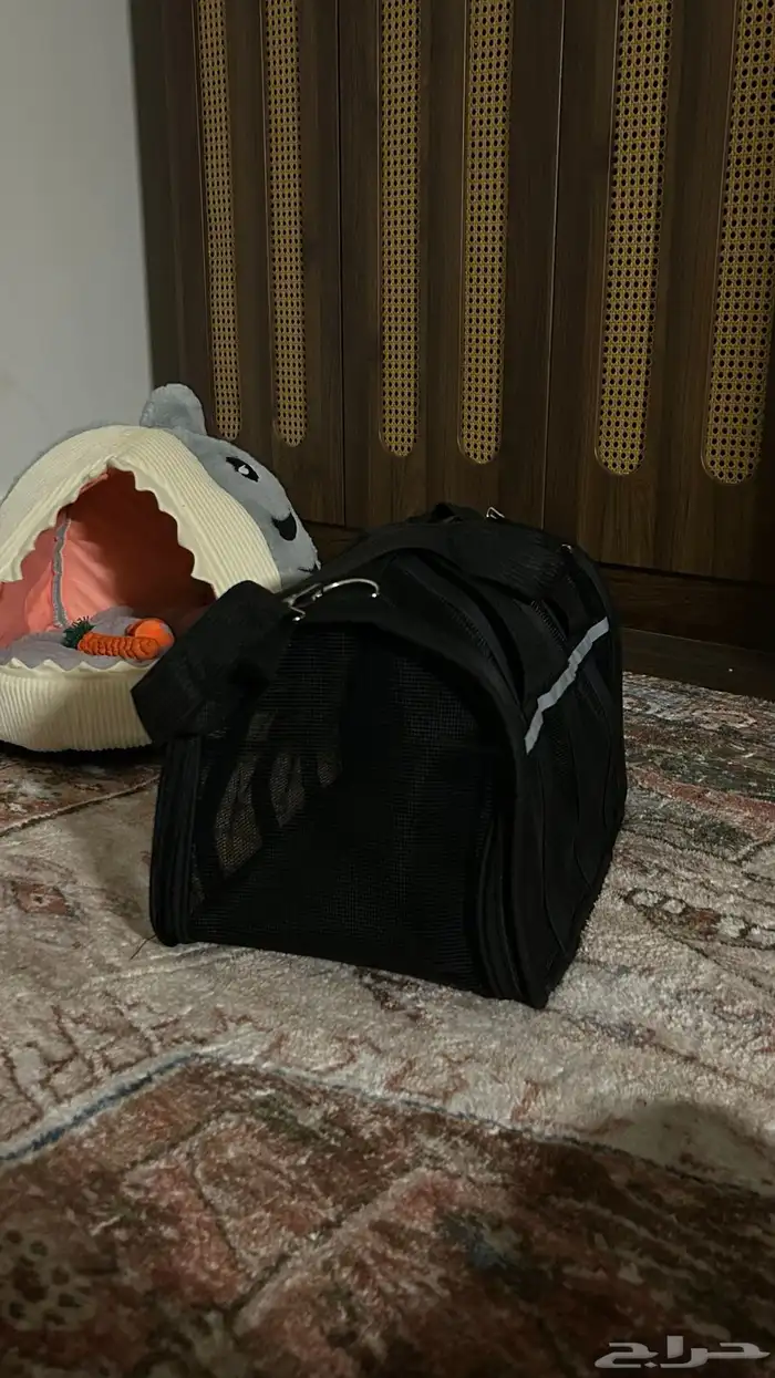 قط للبيع 9