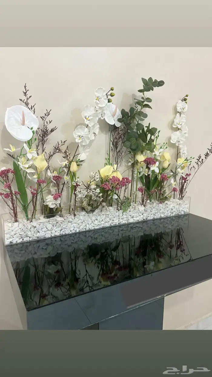 عربية ملكه 2