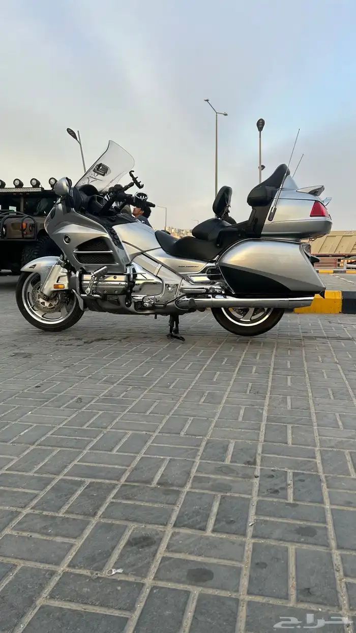 قولد وينق 2013 4