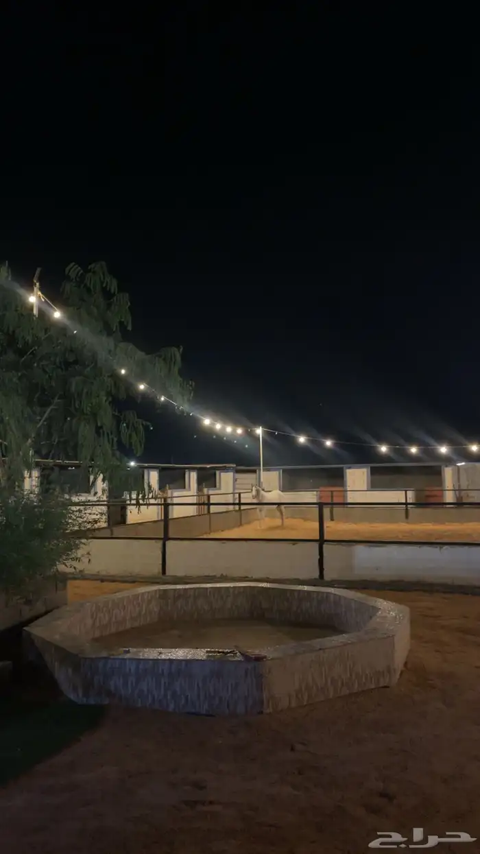 مربط للايواء الخيل 1