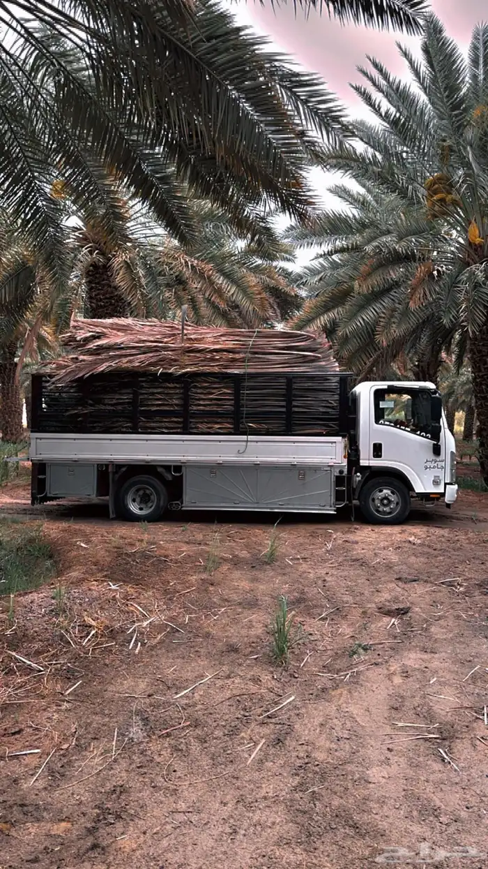 سعف نخل جريد نخيل للبيع يوجد توصيل لجميع المناطق 2