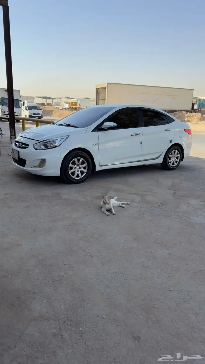 اكسنت 2014 8